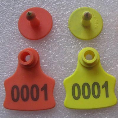 Plastic Ear Tag Bird Ring Laser Marking Machine-1
